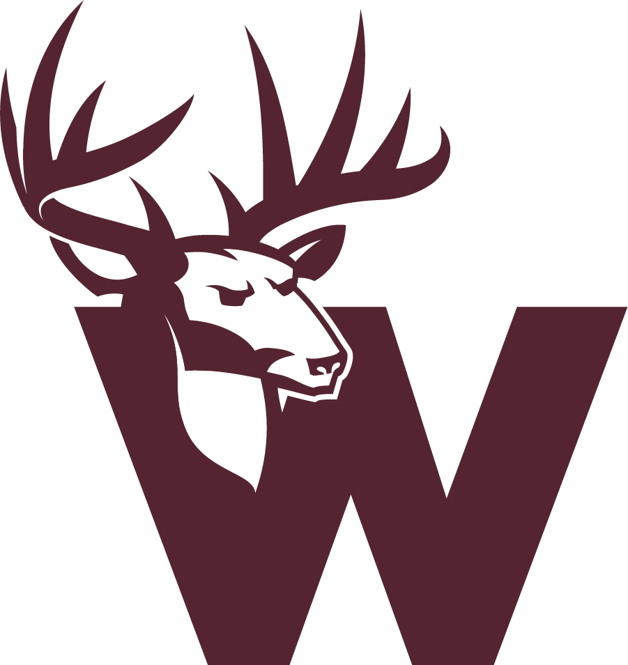 Affordable and Reliable Rental Service Solutions Whitetail