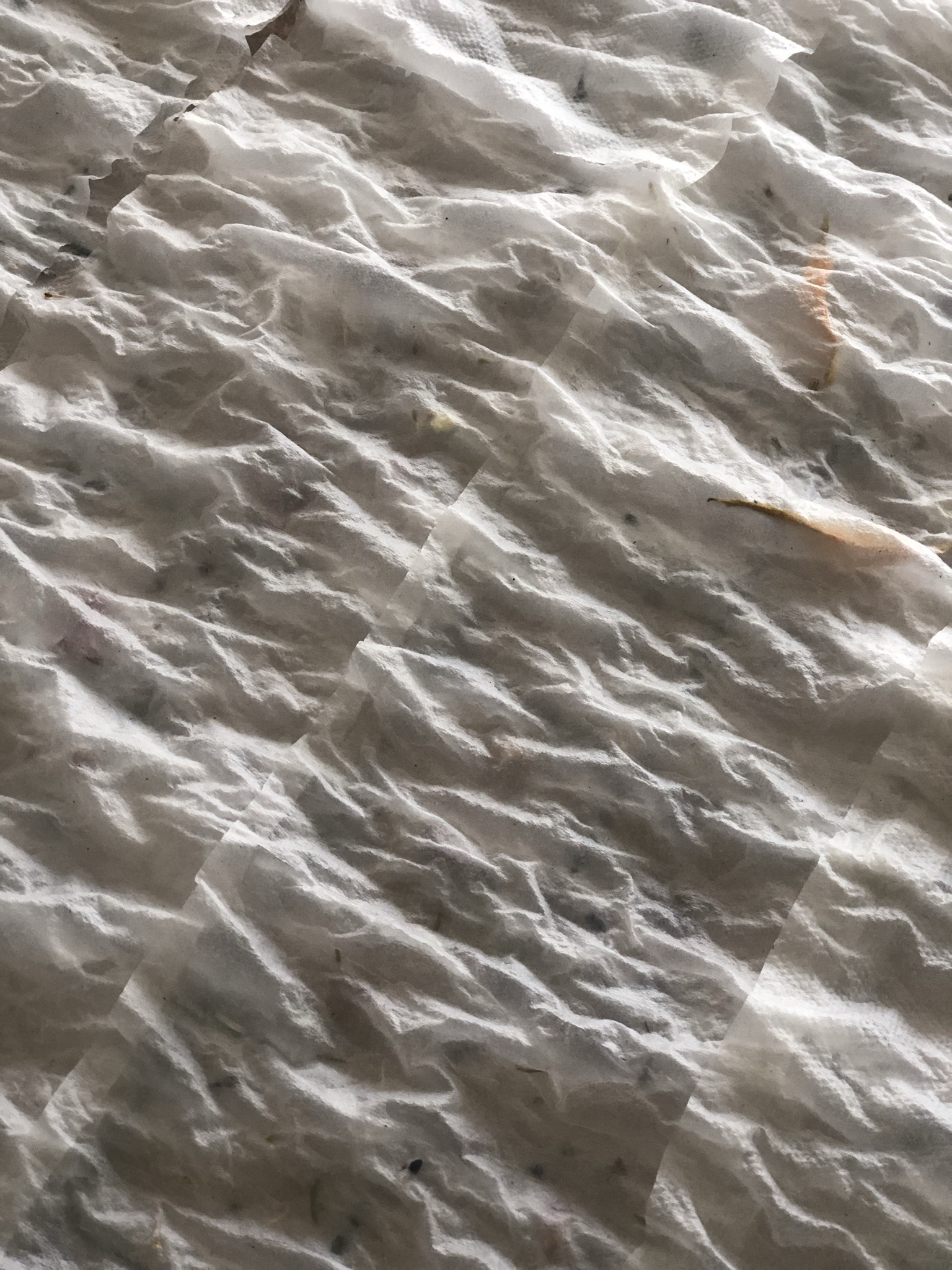 Quick Homemade Seed Paper without a blender and press