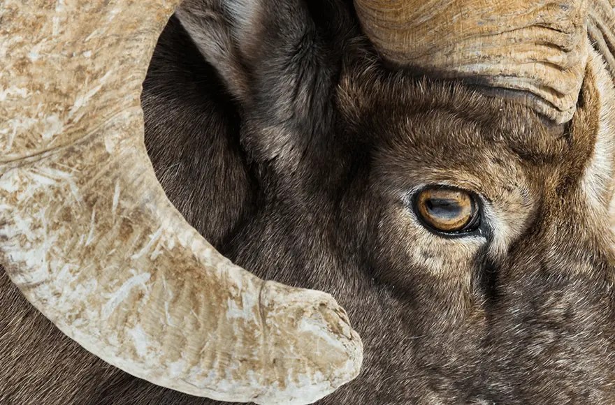 Real Estate in the Pacific Northwest The Whitney Land Company