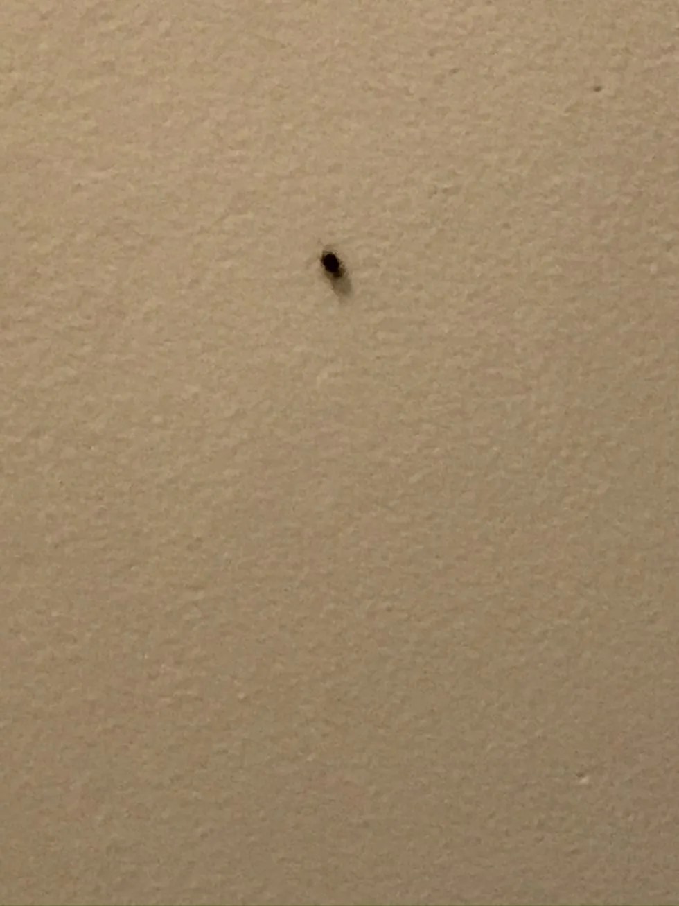 25,000 Bed Bug Apartment Infestation Settlement Whitney, LLP