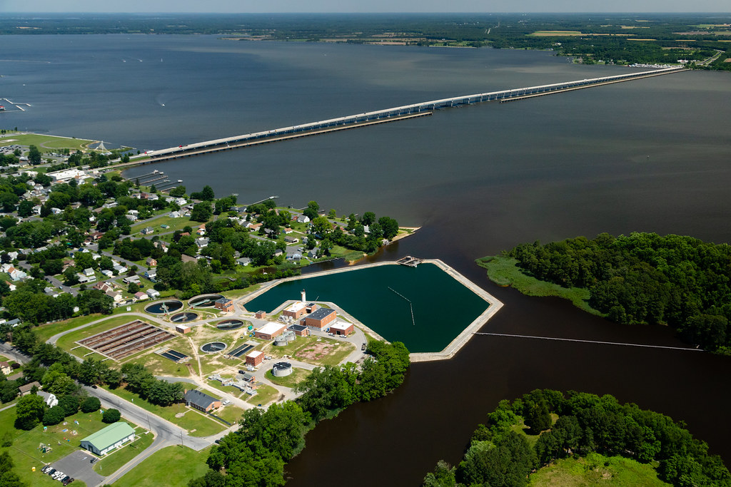 Dorchester County, MD Bed Bug Lawyer Whitney, LLP