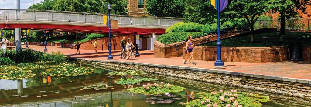 Frederick, MD Elderly Nursing Home Injury Abuse Lawyer Whitney, LLP