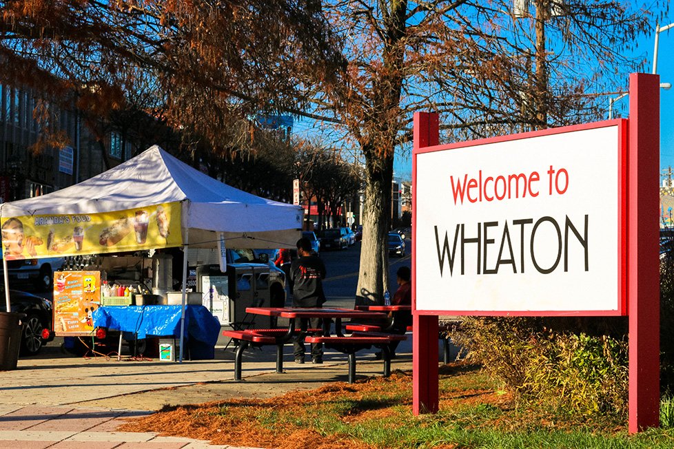 Wheaton, MD Bed Bug Attorney Whitney, LLP