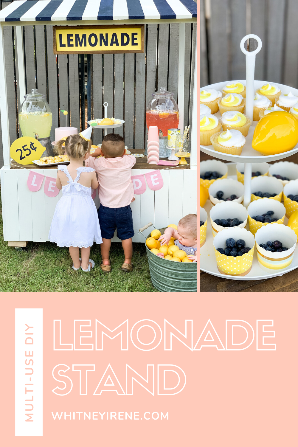 Business plan for lemonade stand QuyaSoft