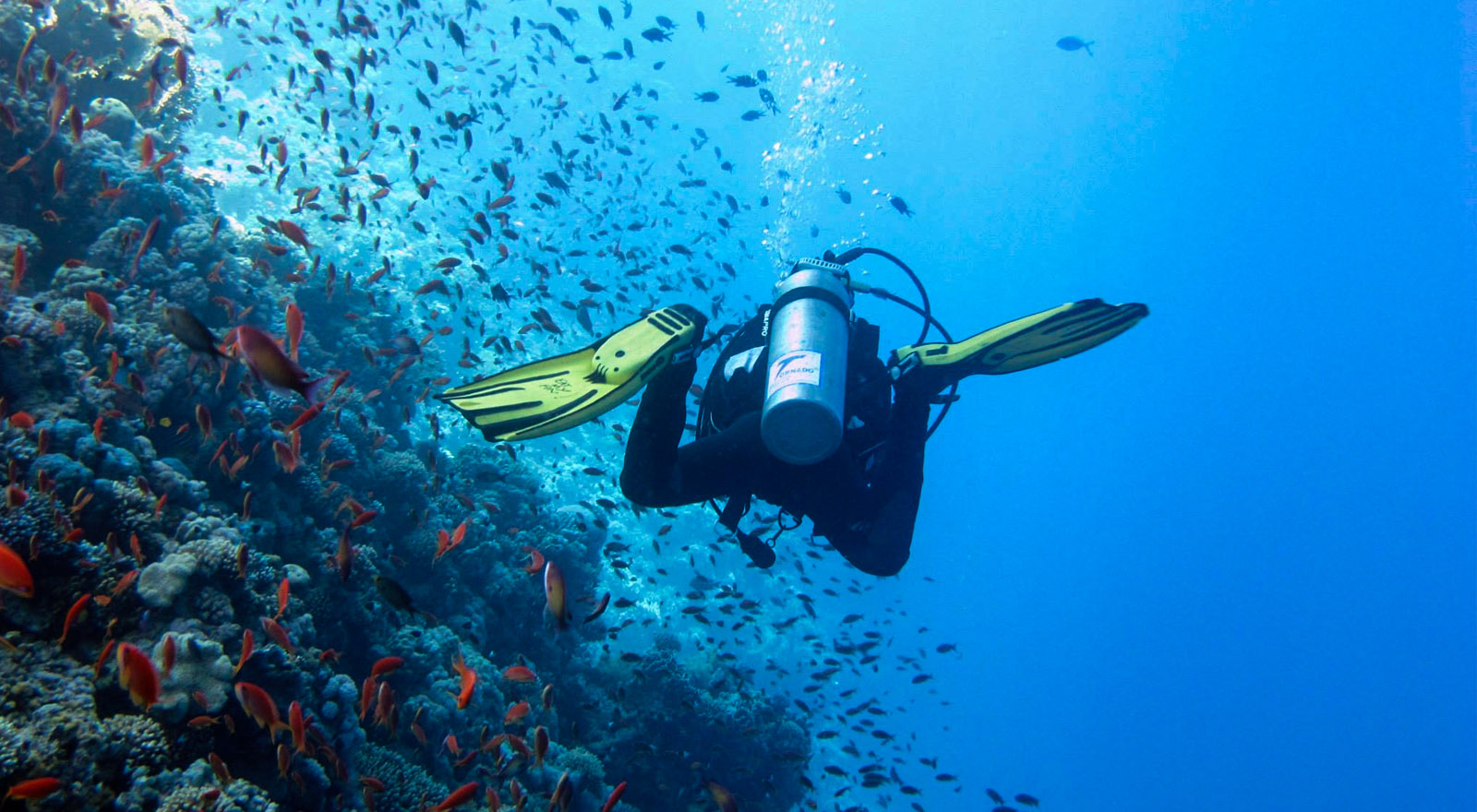 Scuba Diving Kent Kent Scuba Diving School Whitstable Scuba Training