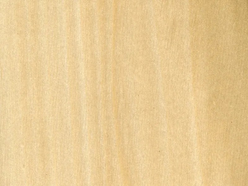 What woods are best for hand carving? Whittling Cave