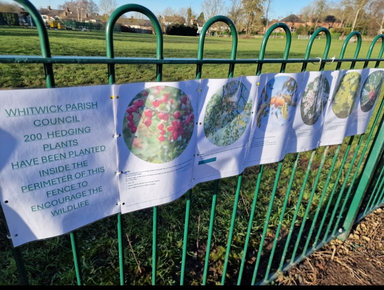Free Trees Planted in the Village of Whitwick Whitwick Parish Council