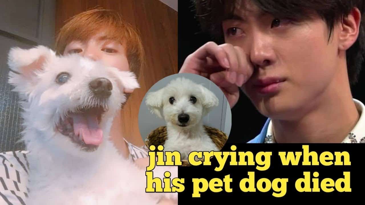 Does Jimin Have A Dog