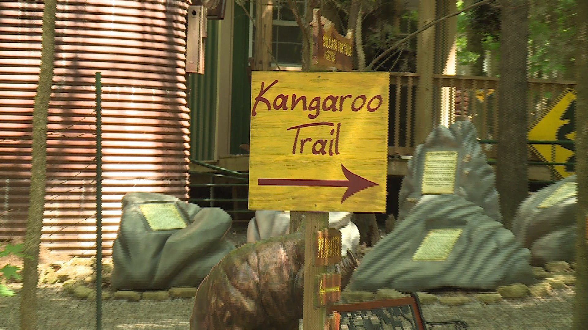 Family of child bitten by kangaroo in 2017 sues owners of Harmony Park