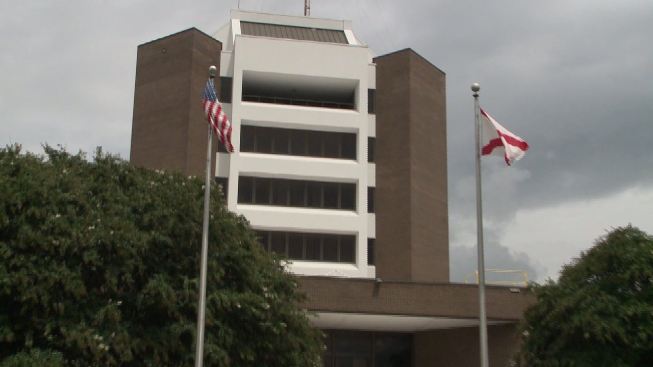 Decatur Mayoral race ends in runoff, four new faces to join City