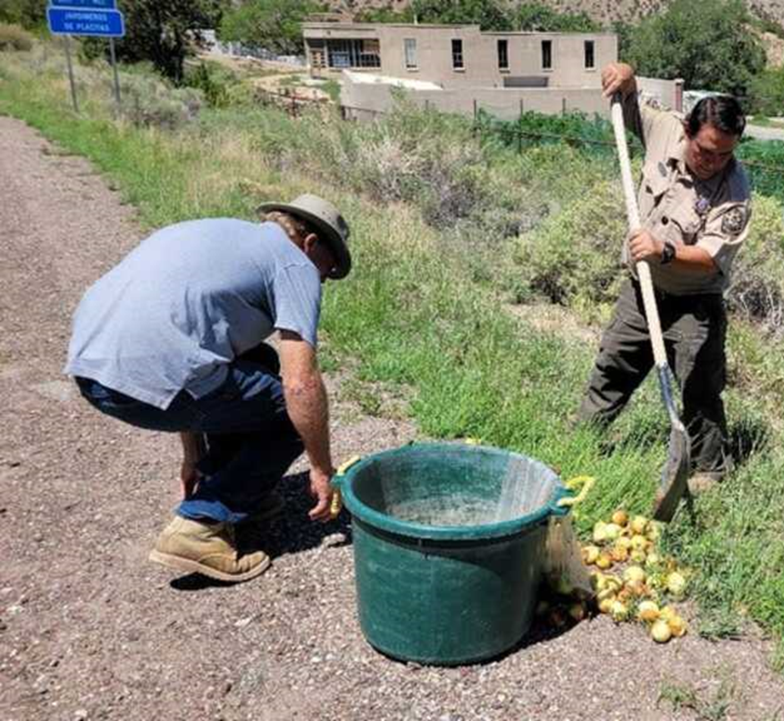 Opposition to Sandoval County NM Proposed Ordinance to Ban Feeding or
