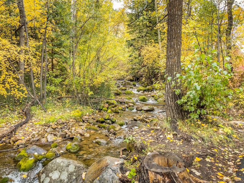 A Trip to Beaver Creek, Colorado Who I Met Today