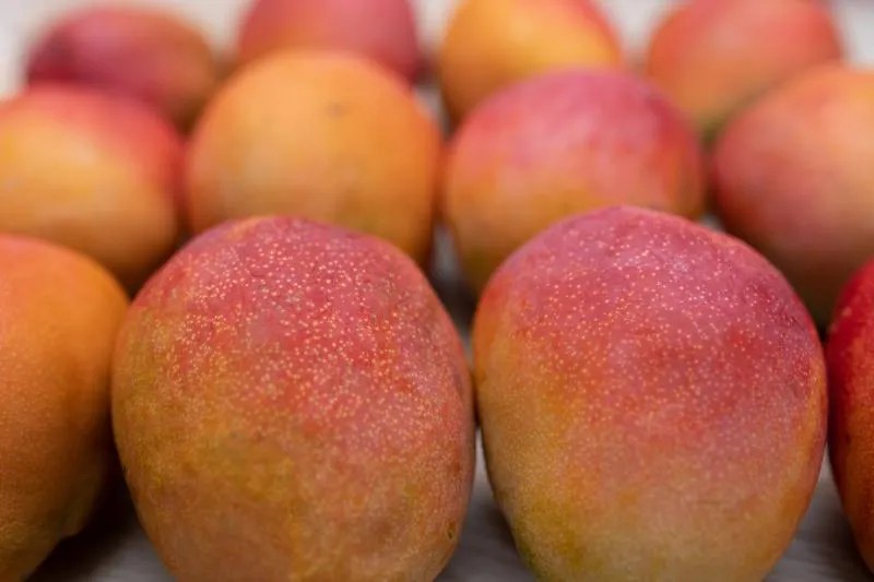 Are Mangoes Acidic? Full Guide to Mango Acidity