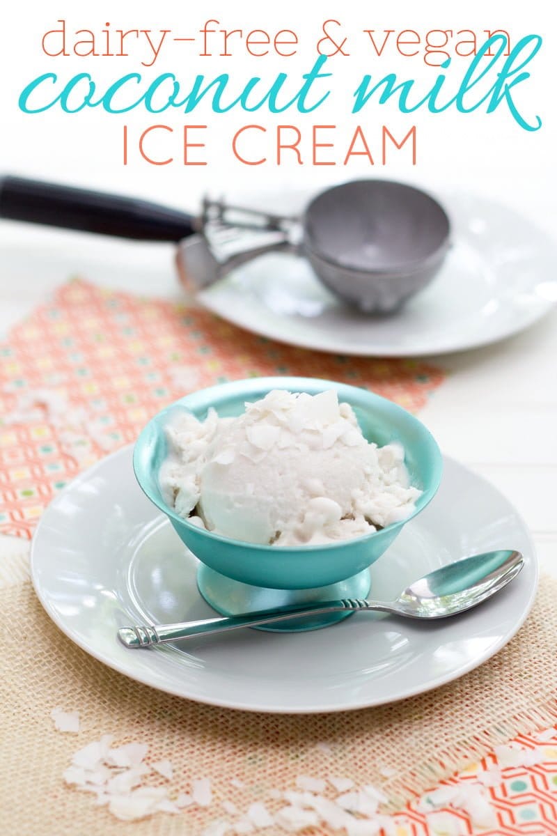 Vegan Coconut Milk Ice Cream