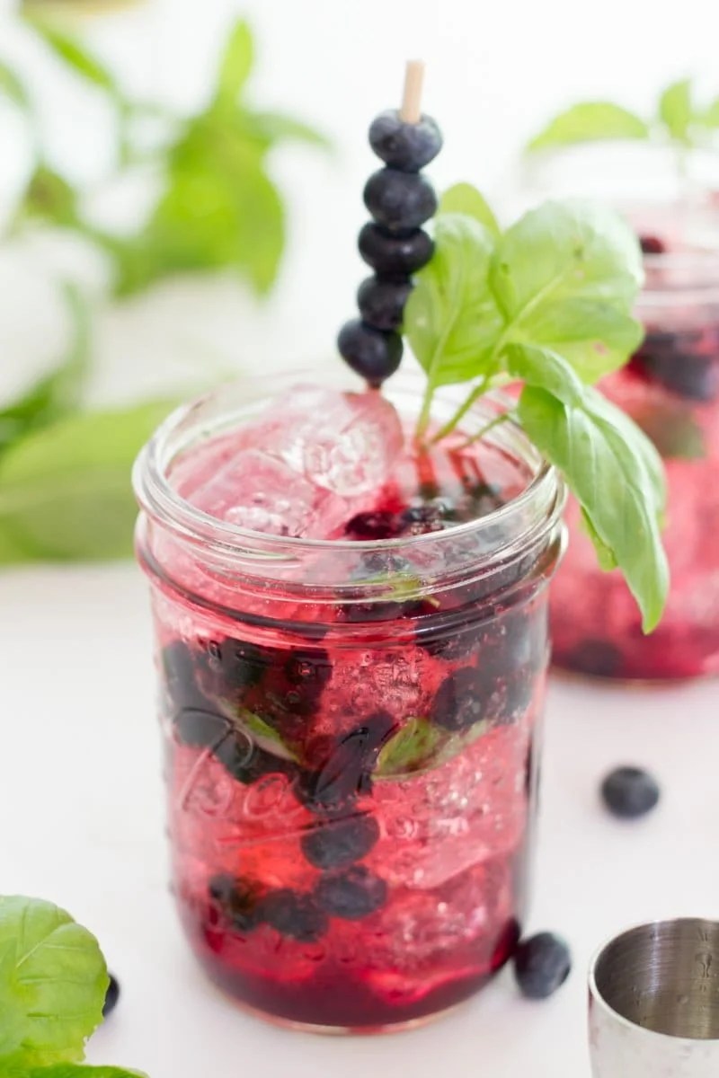 Blueberry Basil Vodka Tonic Wholefully