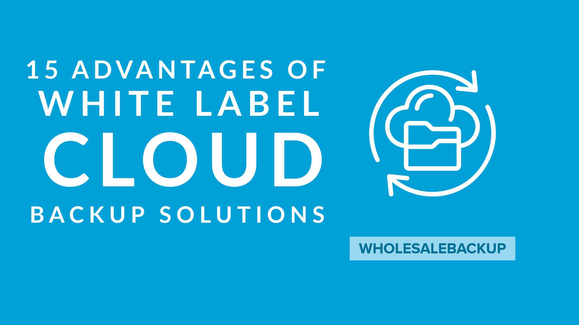 15 Benefits of White Label Online Cloud Backup Software