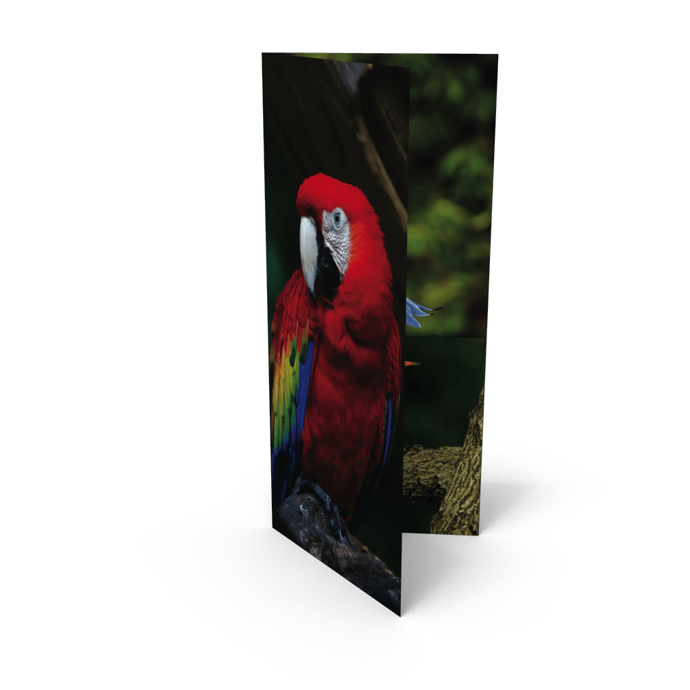 2 Panel 4x9 Pocket Folder Wholesale Pocket Folders