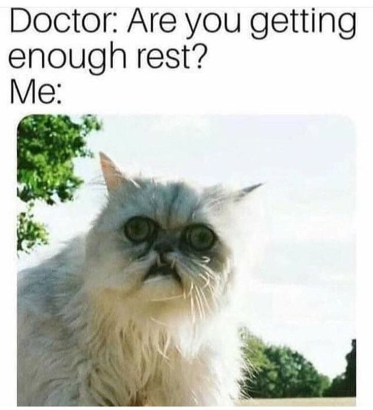37 Cat Memes To Kick Start Your Week Purrfectly