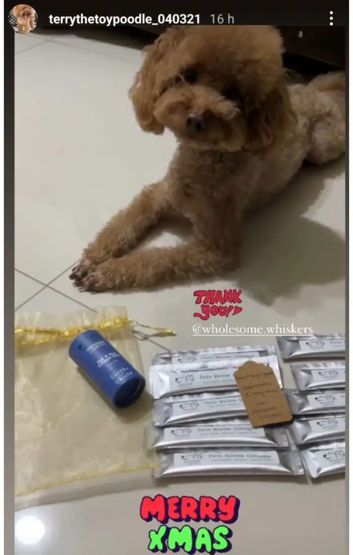 Dog Supplements Cat Supplements Wholesome Whiskers