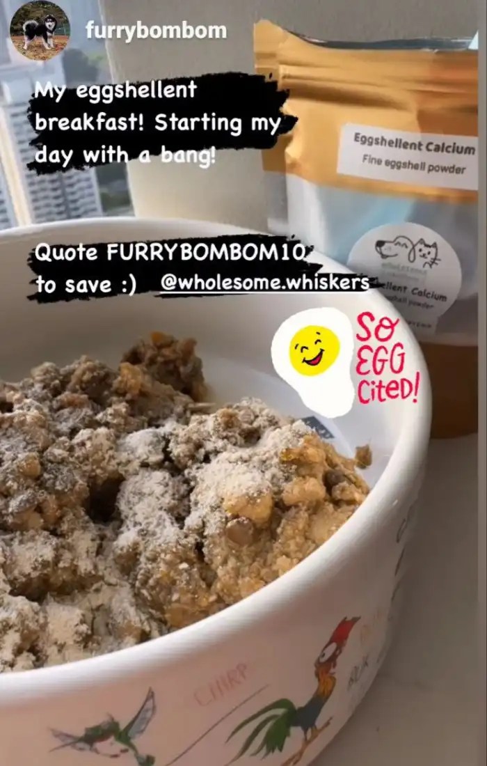 Dog Supplements Cat Supplements Wholesome Whiskers