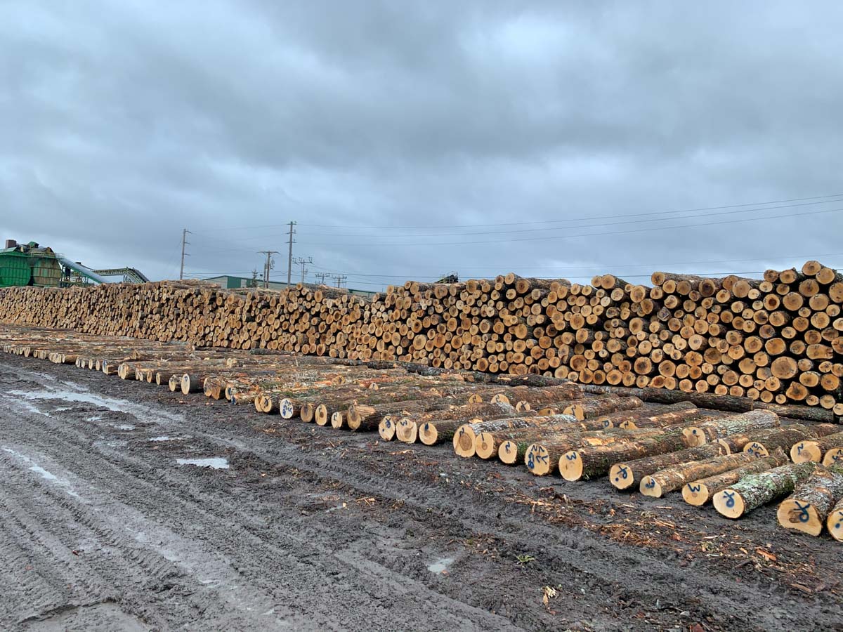 WholeTrees Structures Partner Spotlight Seven Islands Land Company