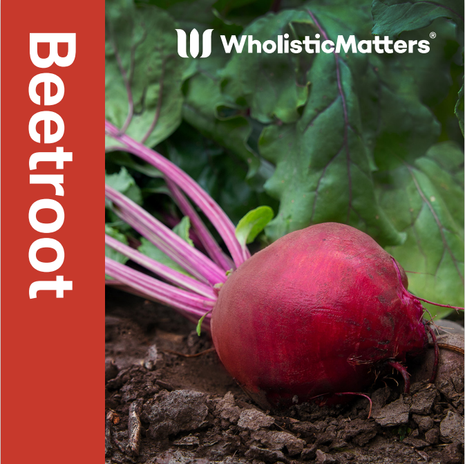 Beetroot Nutrient and Phytonutrient Profile WholisticMatters