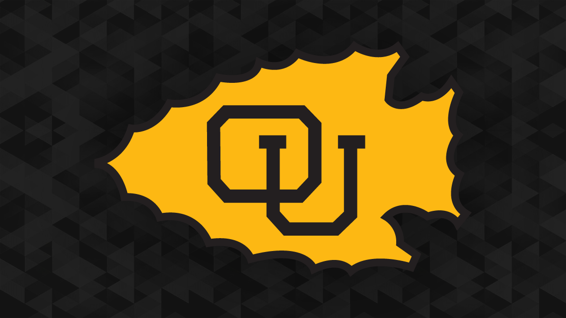 Women's HoopDirt Head Women’s Basketball Coach Ottawa University