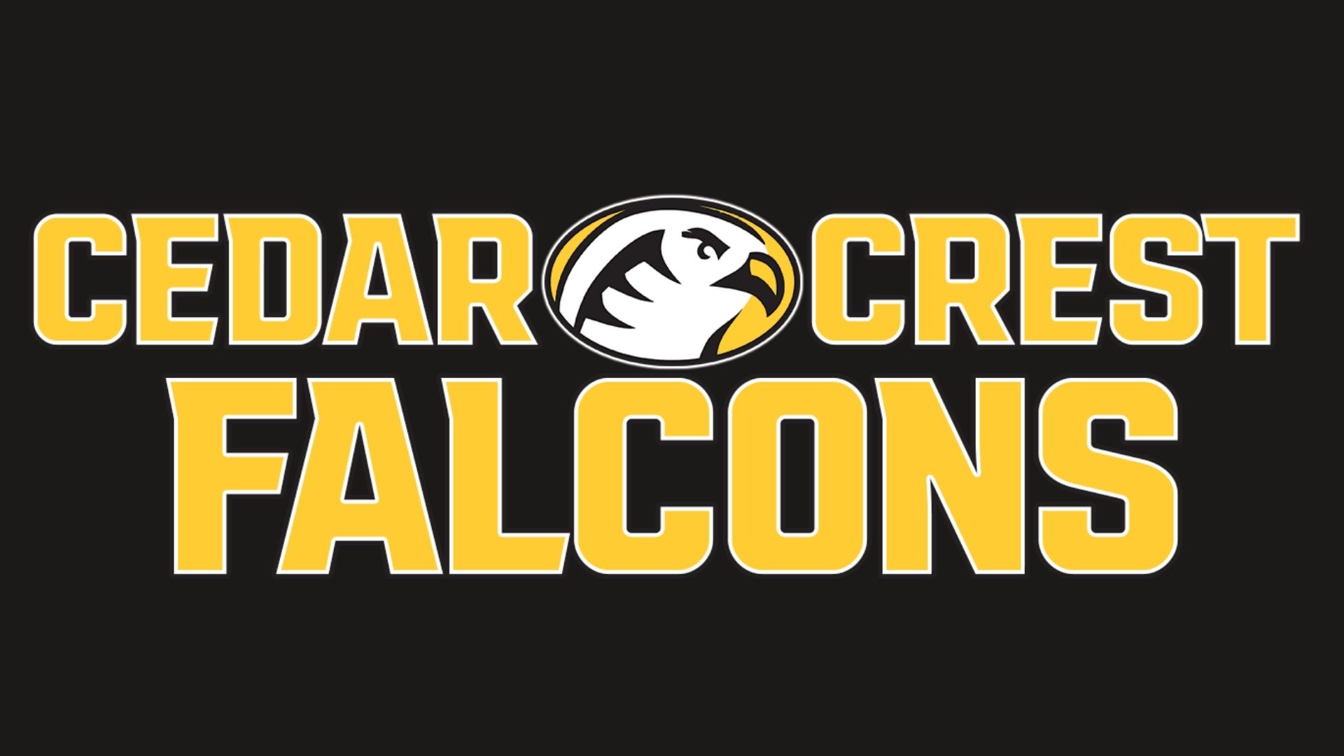 Women's HoopDirt Carter Hired as Head Women's Basketball Coach at D3