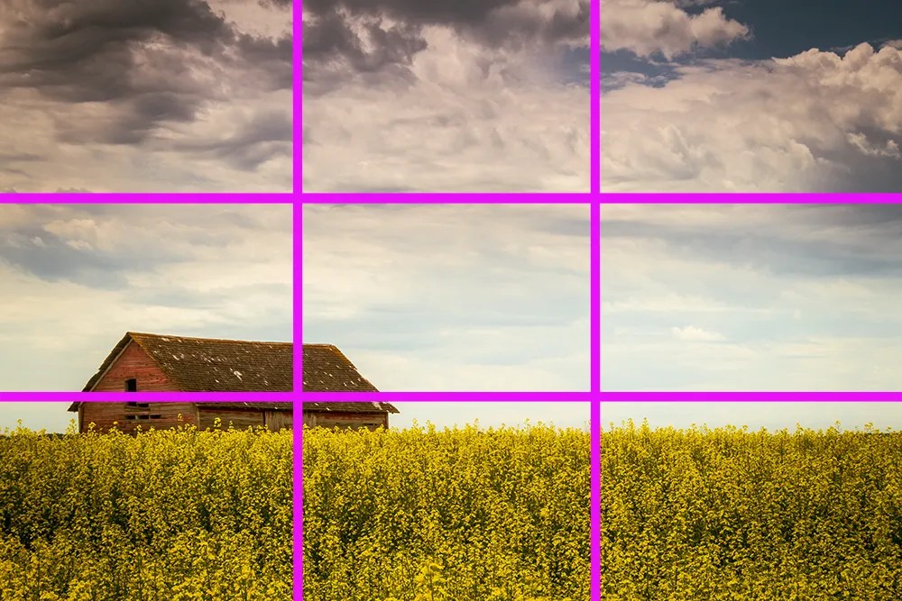 Composition Rules in Photography A Comprehensive Manual