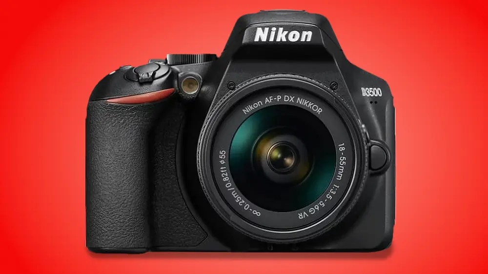 Best Camera for Beginners in Photography DSLR or Mirrorless
