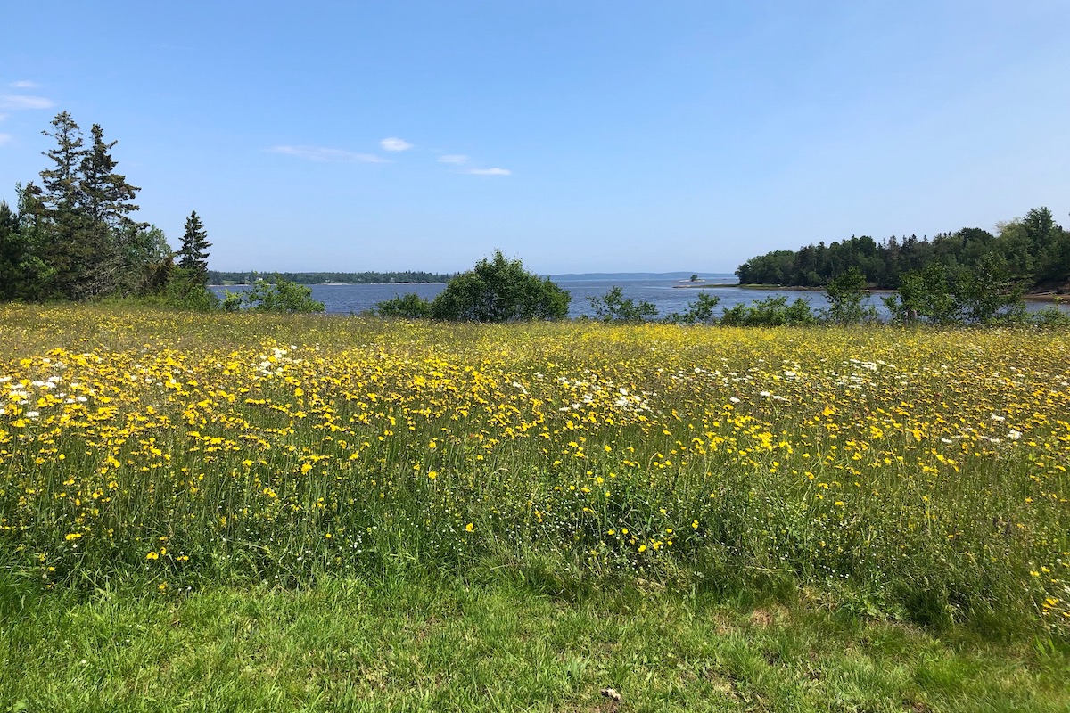 A fun day scheduled for Saturday, July 6th Women for Healthy Rural