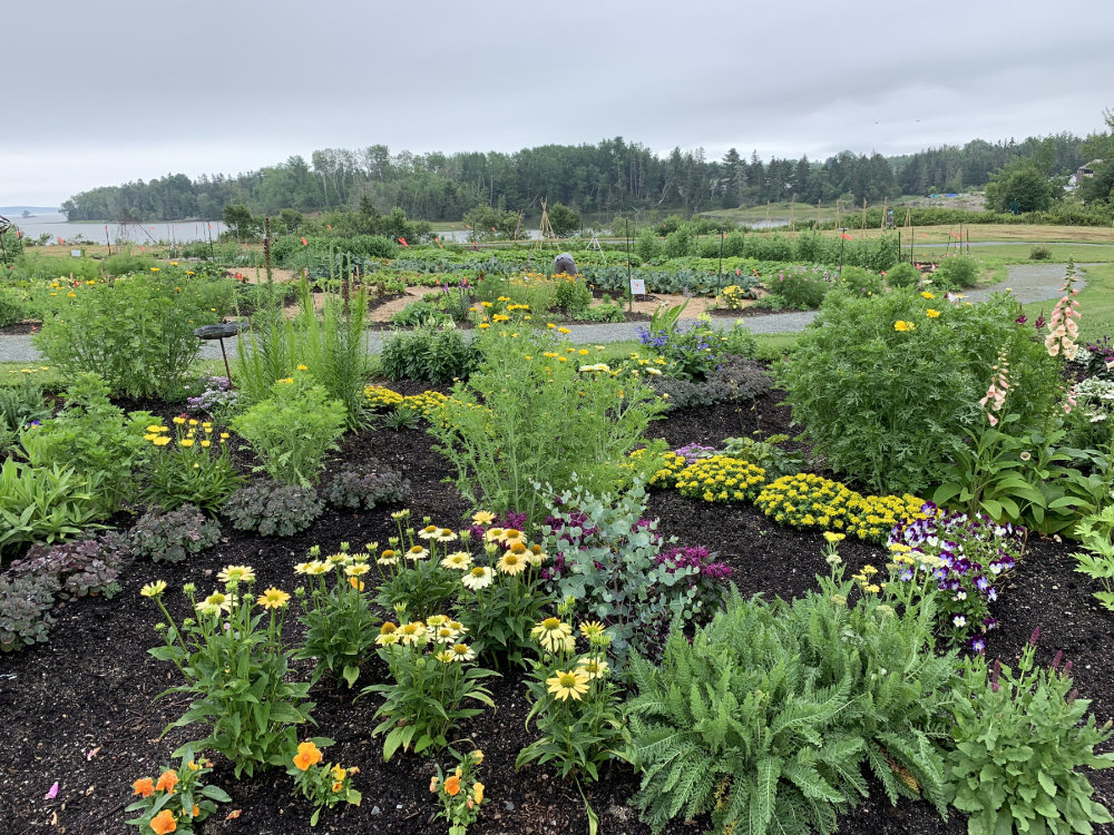 Milbridge Commons Wellness Park Women for Healthy Rural Living