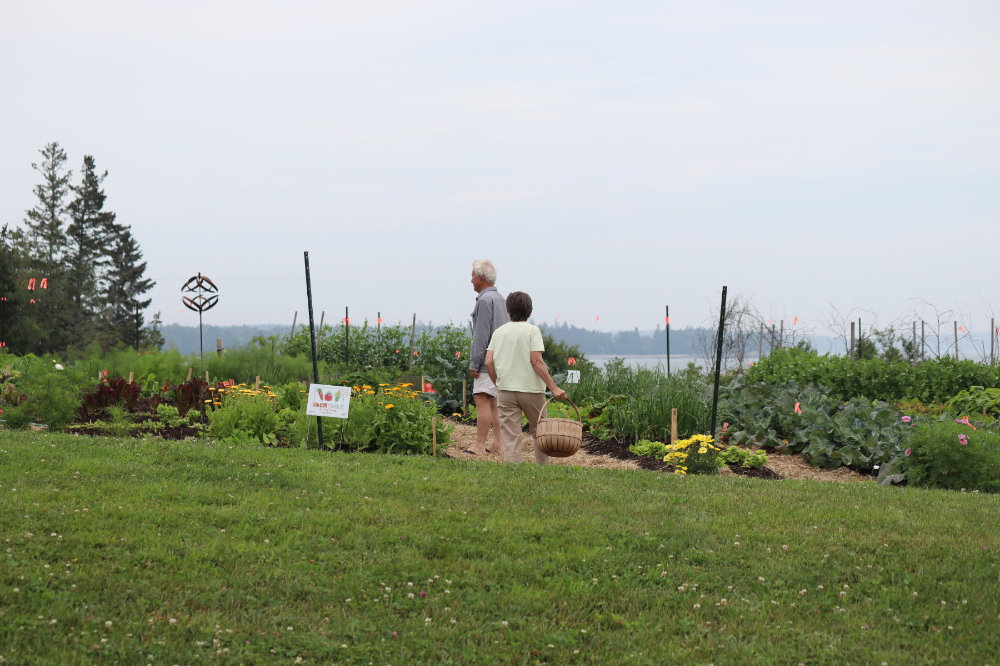 Milbridge Commons Wellness Park Women for Healthy Rural Living