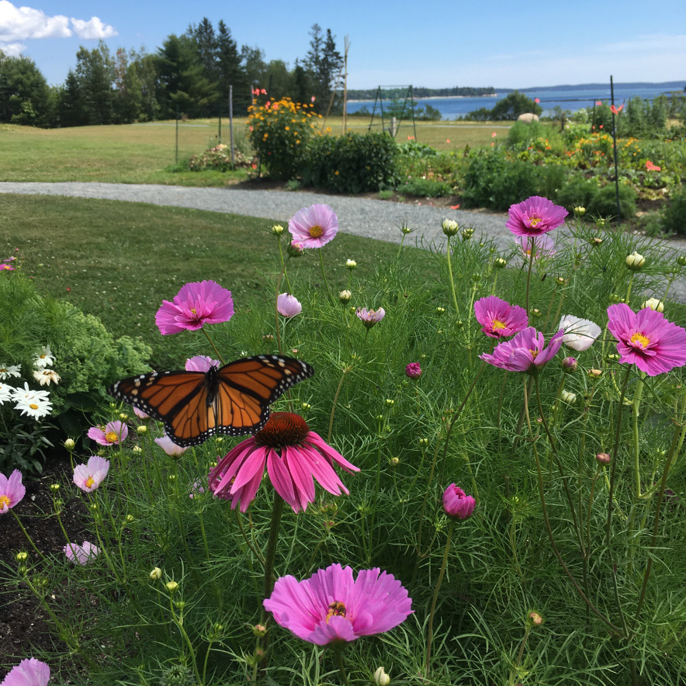 Milbridge Commons Wellness Park Women for Healthy Rural Living