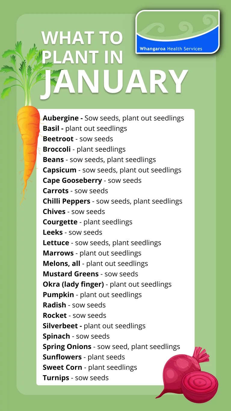 January Planting Whangaroa Health