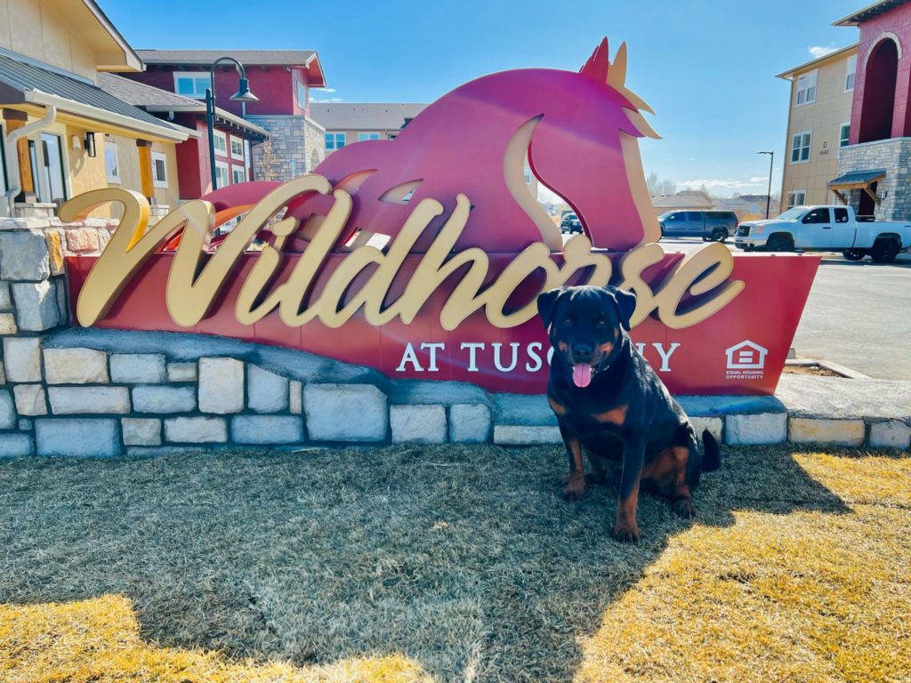 Home The Wildhorse at Tuscany Apartments in Evans, CO