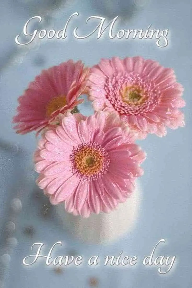 friendly good morning quotes Best Good Morning Quotes 2022 For You