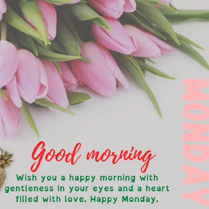 List Of Good Morning Happy Monday Blessings 2022 Happy Monday Images, Gifs, And Memes