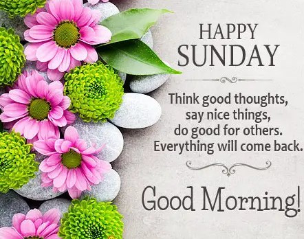 Incredible Good Morning Sunday Greetings References Good Morning Happy Sunday Images, Quotes