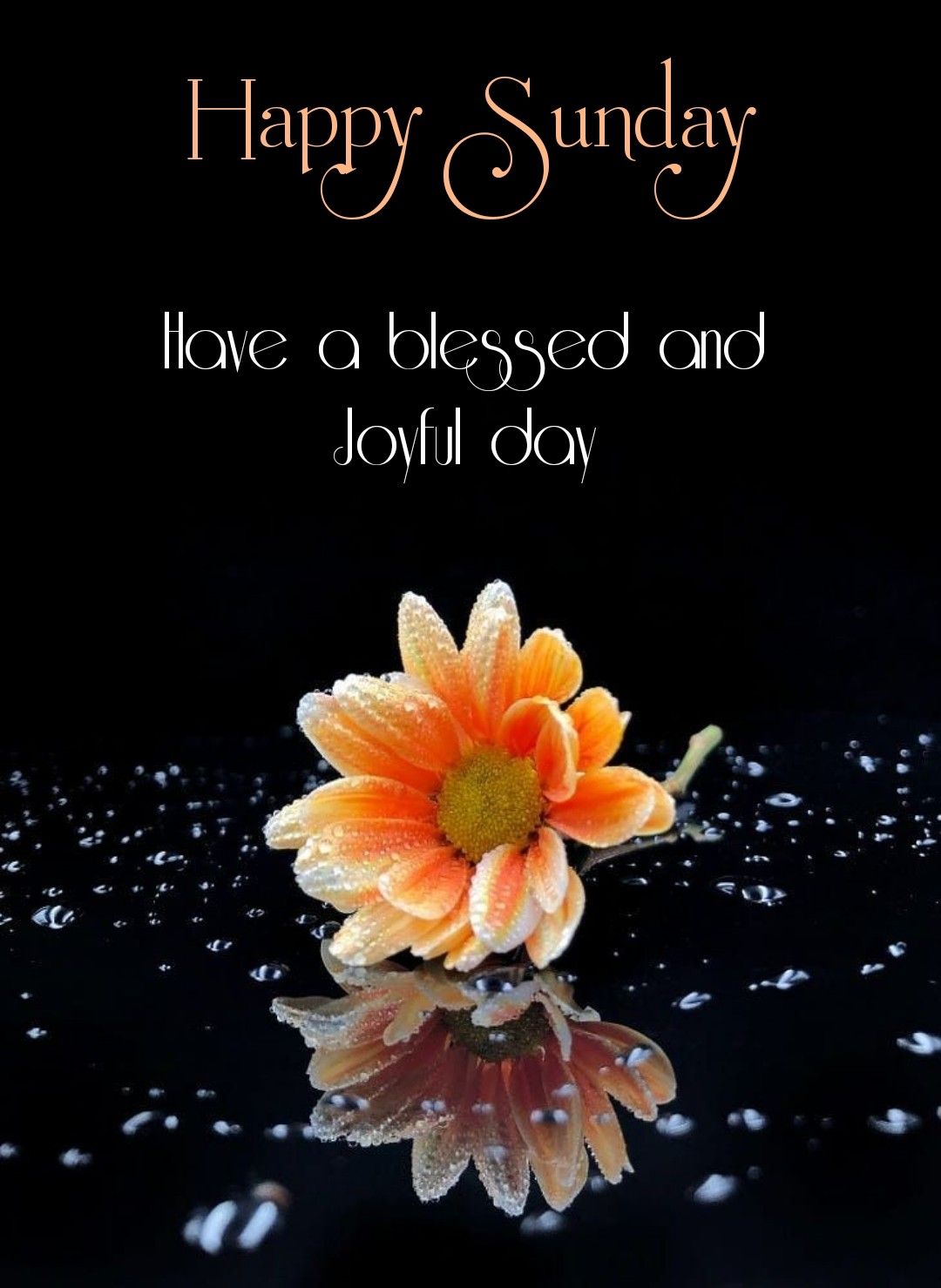 Famous Happy Blessed Sunday Images 2022 Good Morning Happy Sunday Images, Quotes