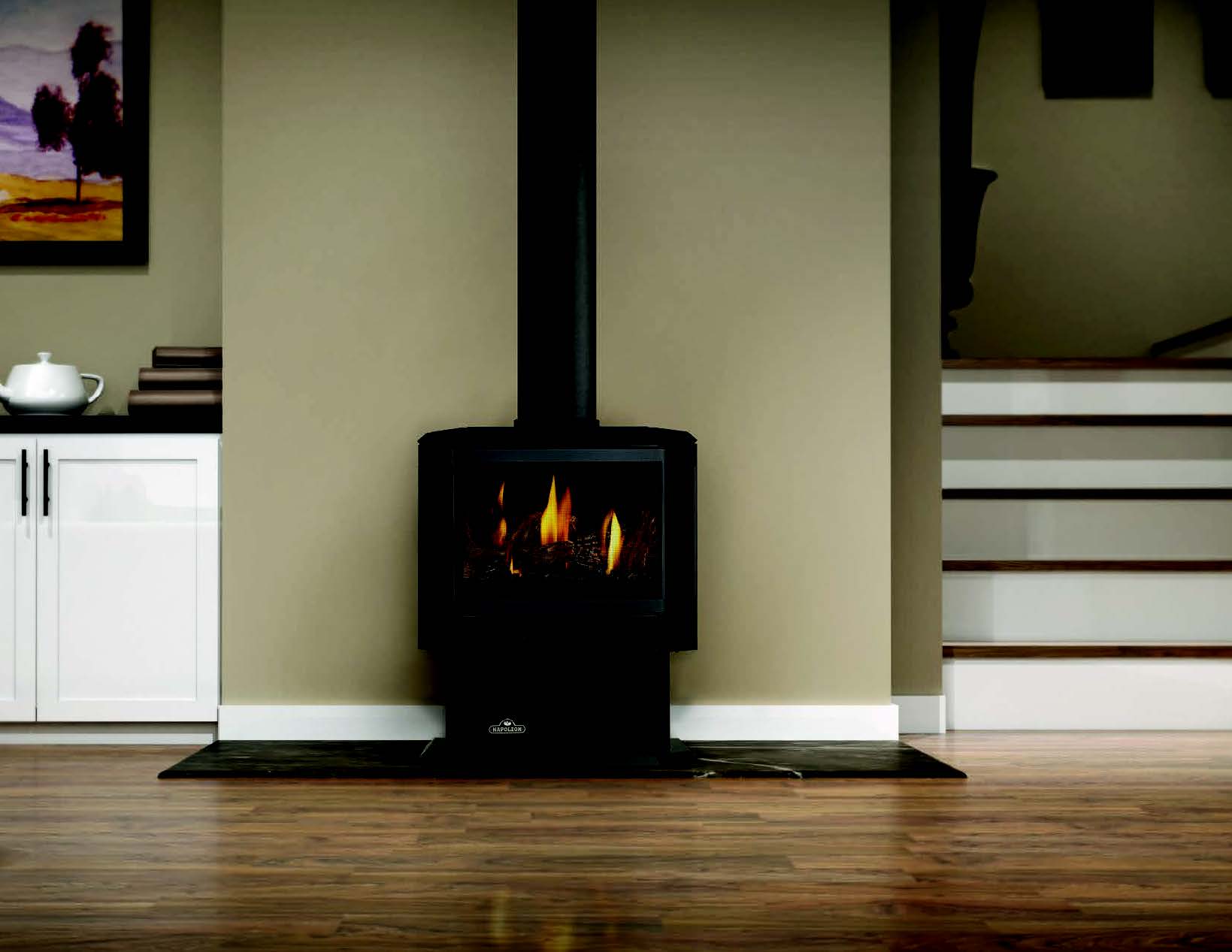 Napoleon Haliburton Fireplace & BarBQ Center