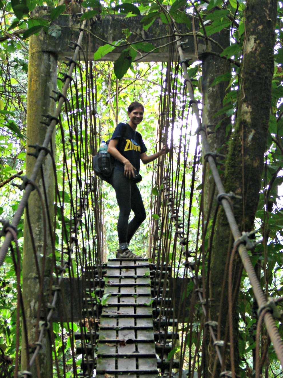 Monkey Bridge ahead