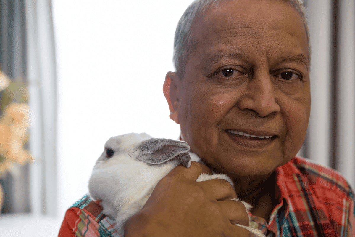 Are Rabbits Good Pets for Seniors?
