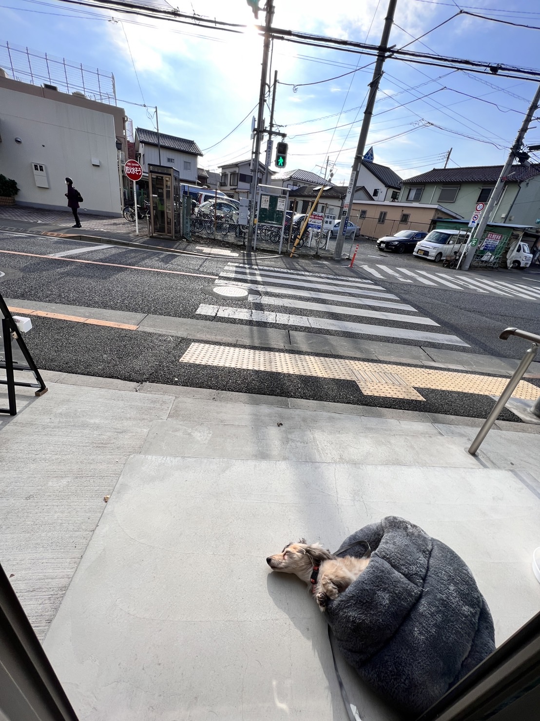 コミュ障専門店！？『緊張しない美容院』が三鷹市に登場！ WHYTE