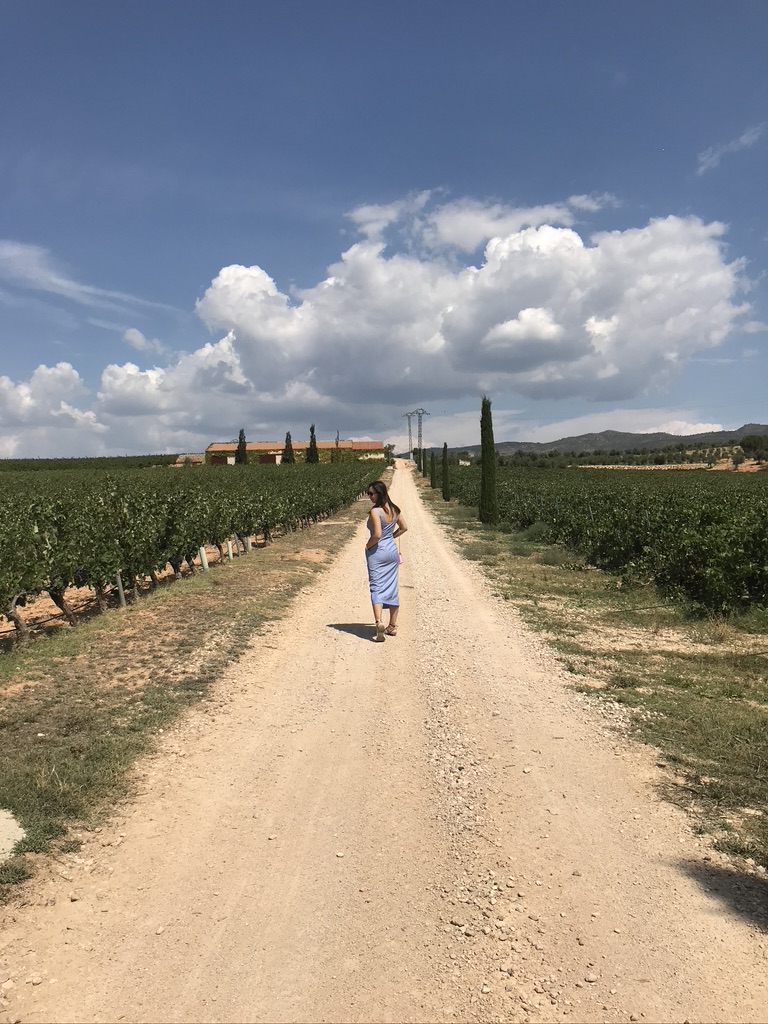 15 Best Spanish Red Wines You Need To Try Now!