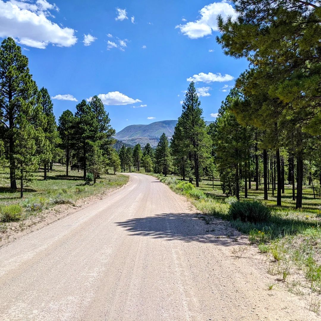 Explore the White Mountains of Arizona My Guidebook with Map