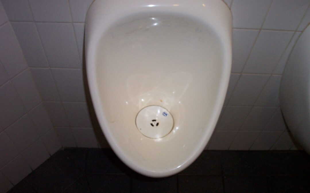 FileWaterless Urinal (Armitage Shanks, Wikipedia, 60 OFF