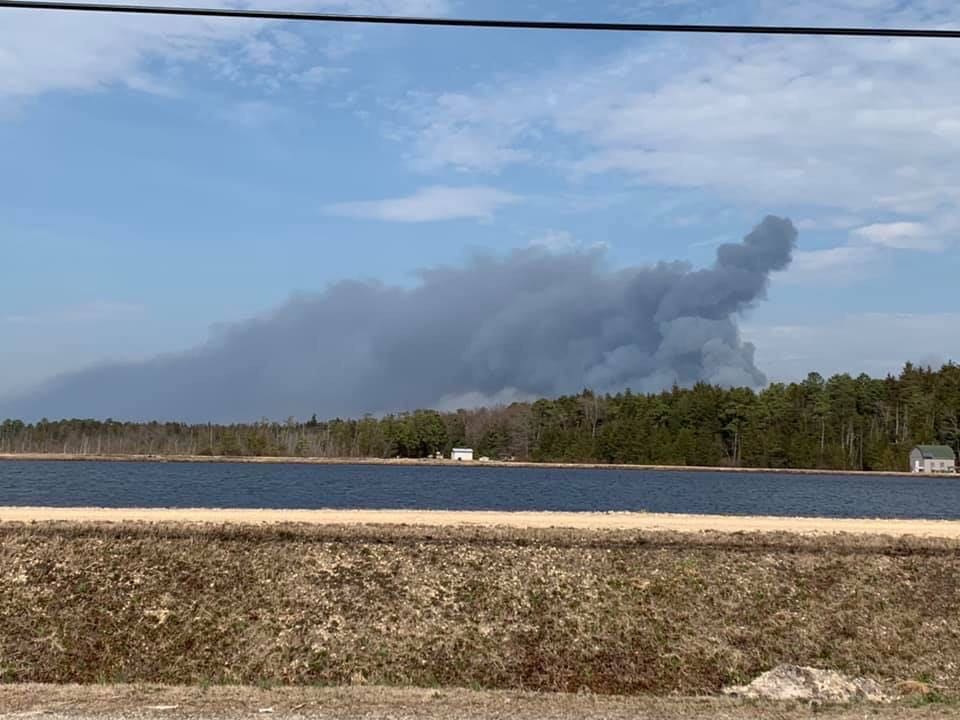 Forest fire closes Route 72 in Burlington County, N.J. WHYY