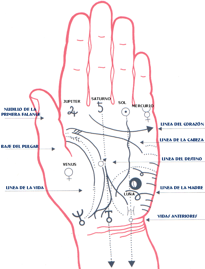 La Quiromancia. Las líneas de la mano WiccaReencarnada