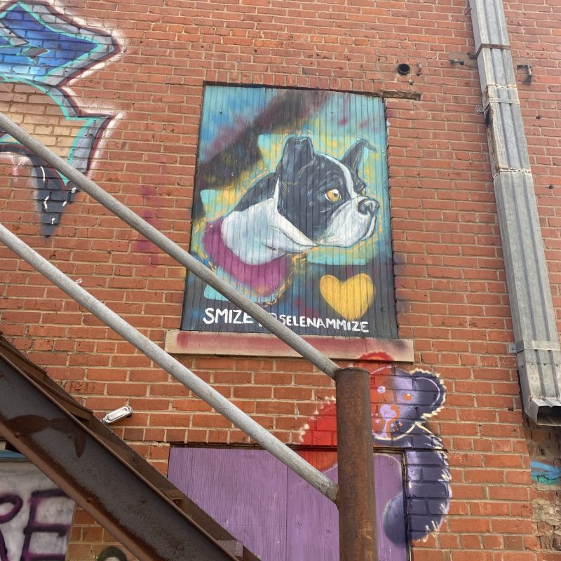 Murals Wichita Falls Alliance for Arts and Culture